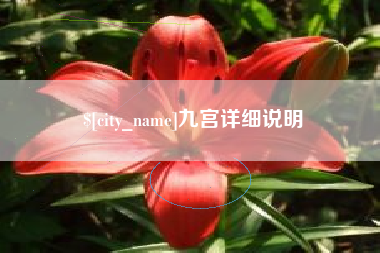 黄冈九宫详细说明