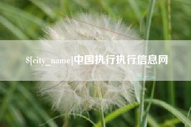 黄冈中国执行执行信息网
