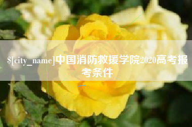黄冈中国消防救援学院2020高考报考条件