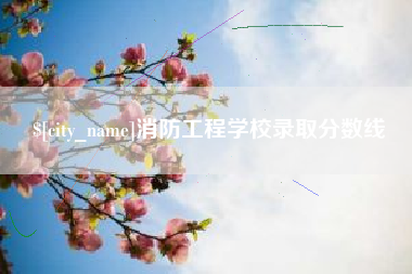 黄冈消防工程学校录取分数线
