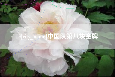 黄冈中国队第八块金牌