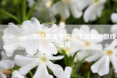 黄冈消防救援学院招生录取分数线2020福建