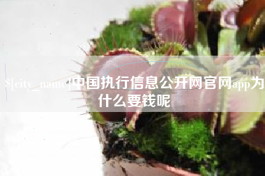 黄冈中国执行信息公开网官网app为什么要钱呢