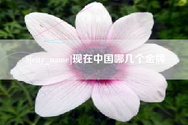 黄冈现在中国哪几个金牌