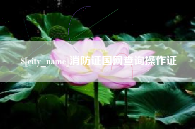 黄冈消防证国网查询操作证