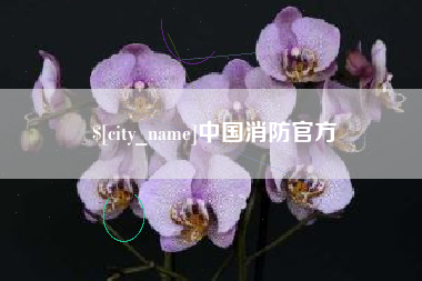黄冈中国消防官方