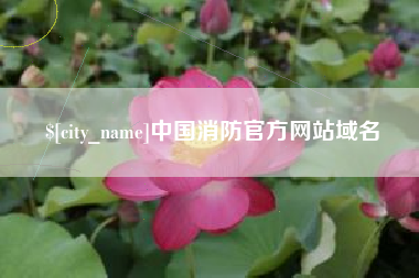 黄冈中国消防官方网站域名