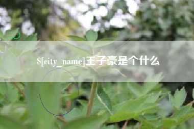 黄冈王子豪是个什么
