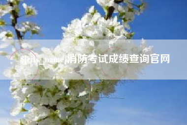 黄冈消防考试成绩查询官网