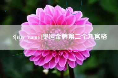 黄冈奥运金牌第二个九宫格