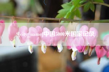 黄冈中国5000米国家记录