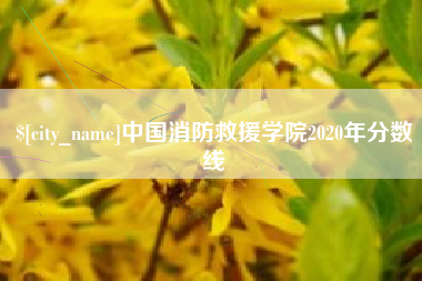 黄冈中国消防救援学院2020年分数线