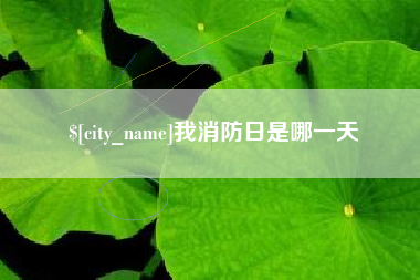 黄冈我消防日是哪一天