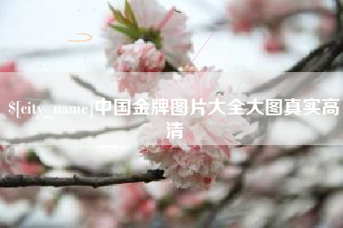 黄冈中国金牌图片大全大图真实高清