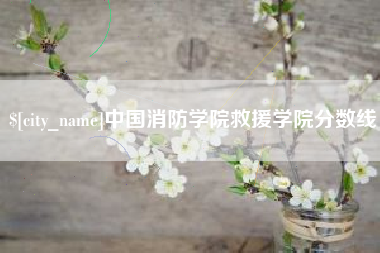 黄冈中国消防学院救援学院分数线