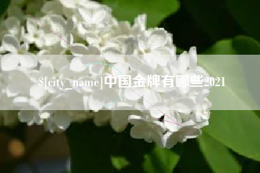 黄冈中国金牌有哪些2021