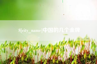 黄冈中国的几个金牌