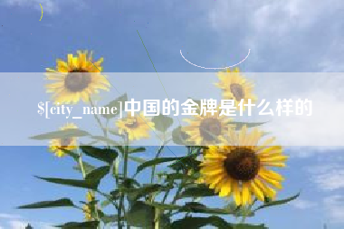 黄冈中国的金牌是什么样的