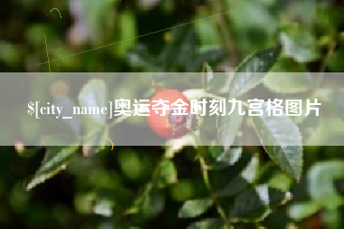 黄冈奥运夺金时刻九宫格图片