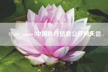 黄冈中国执行信息公开网失信