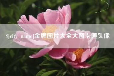 黄冈金牌图片大全大图卡通头像