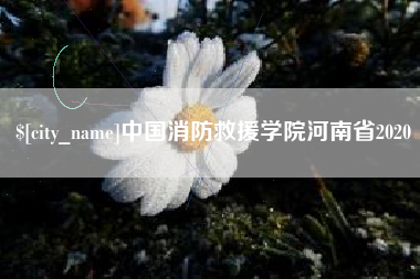 黄冈中国消防救援学院河南省2020